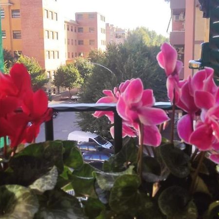 Casetta Del Quadraro Ρώμη Εξωτερικό φωτογραφία